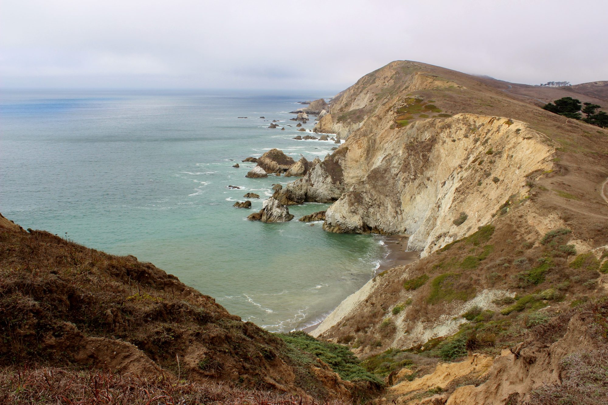 Point Reyes
