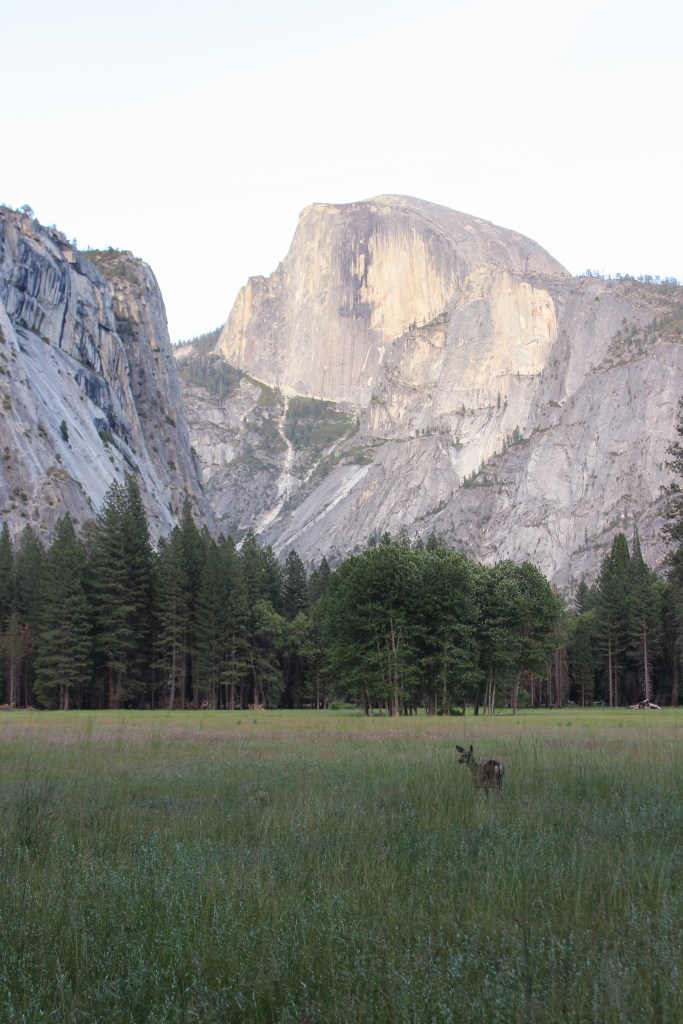 Yosemite