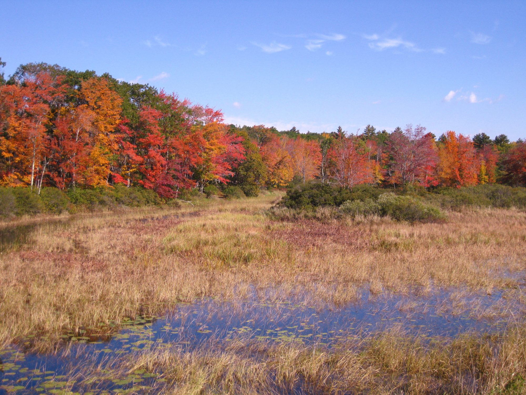 Lincolnville