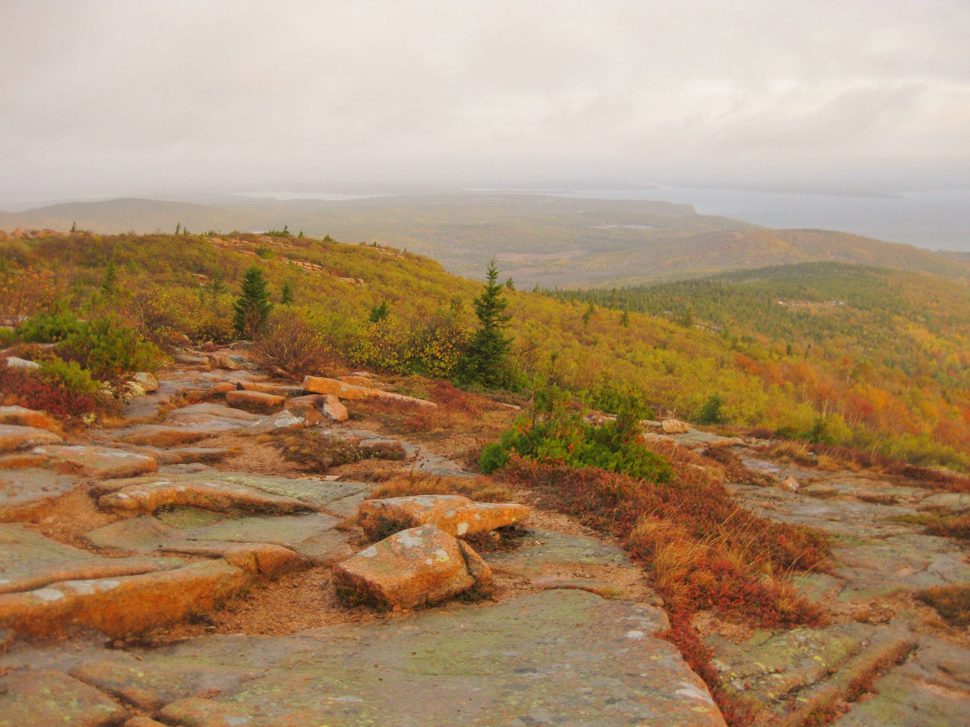 Cadillac Mountain North Ridge Trail