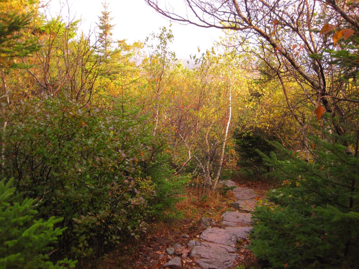 Cadillac Mountain North Ridge Trail