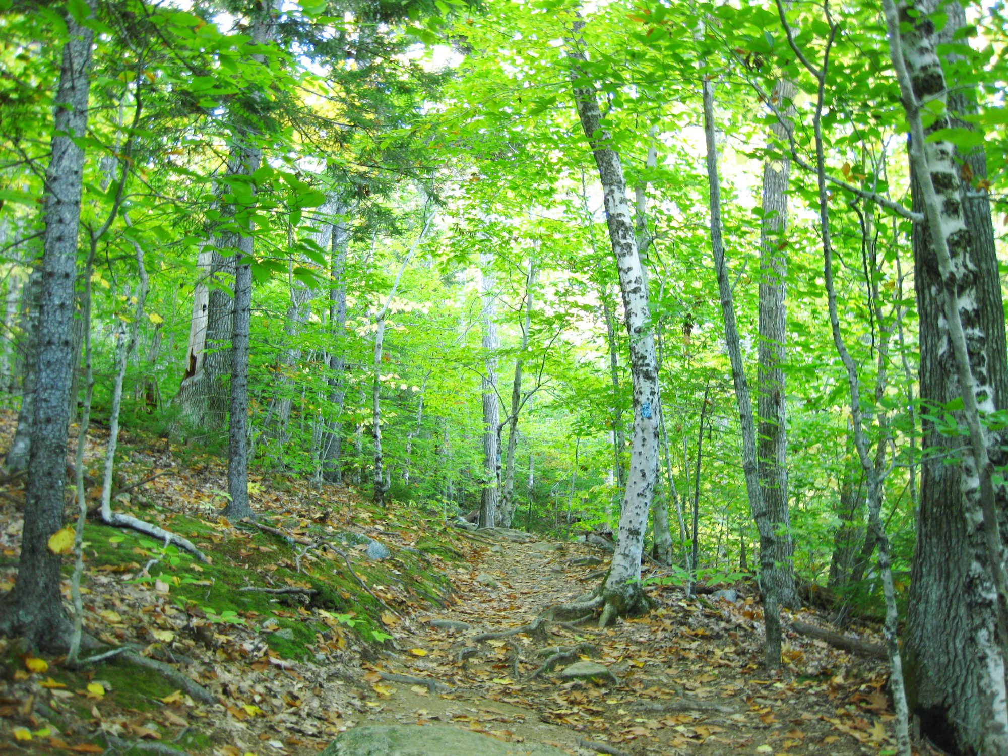 Camden Hills State Park
