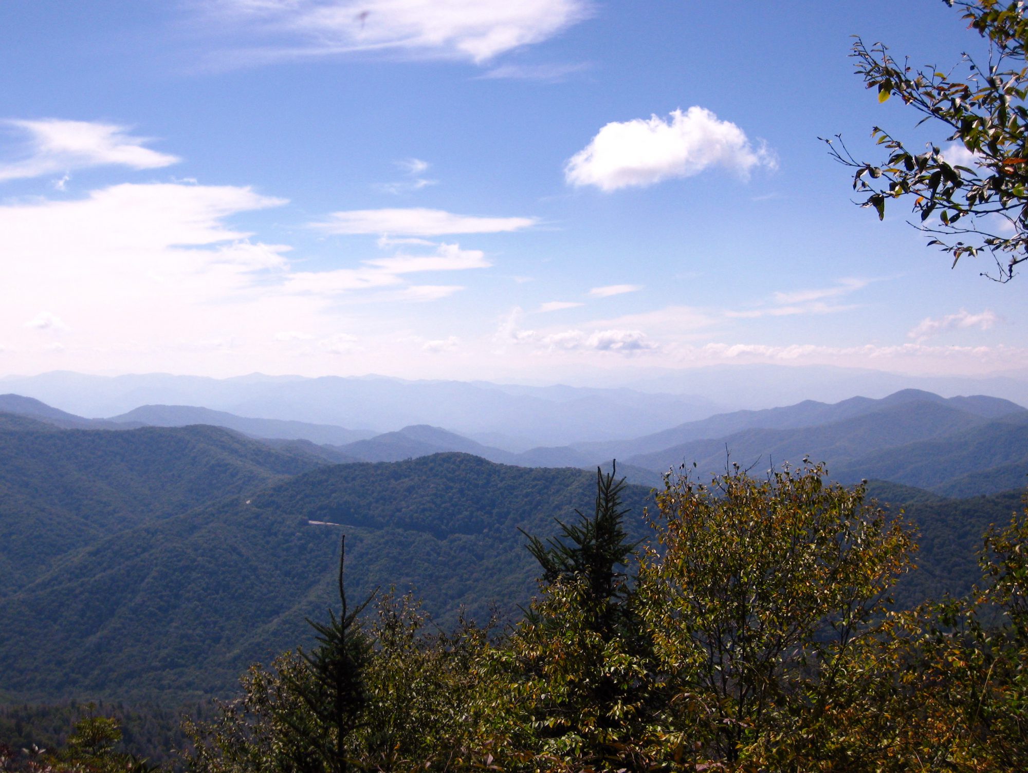 Newfound Gap