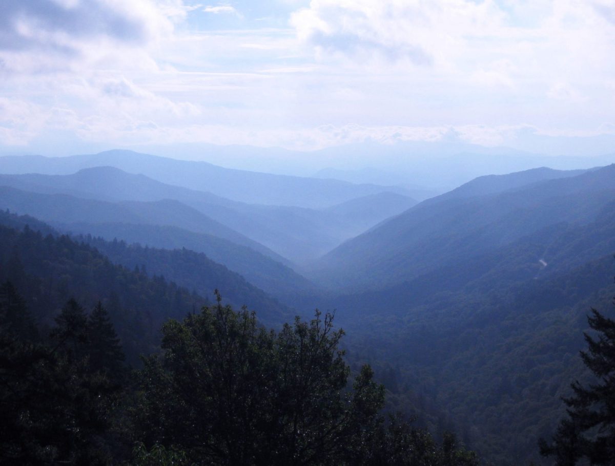 Clingmans Dome Road