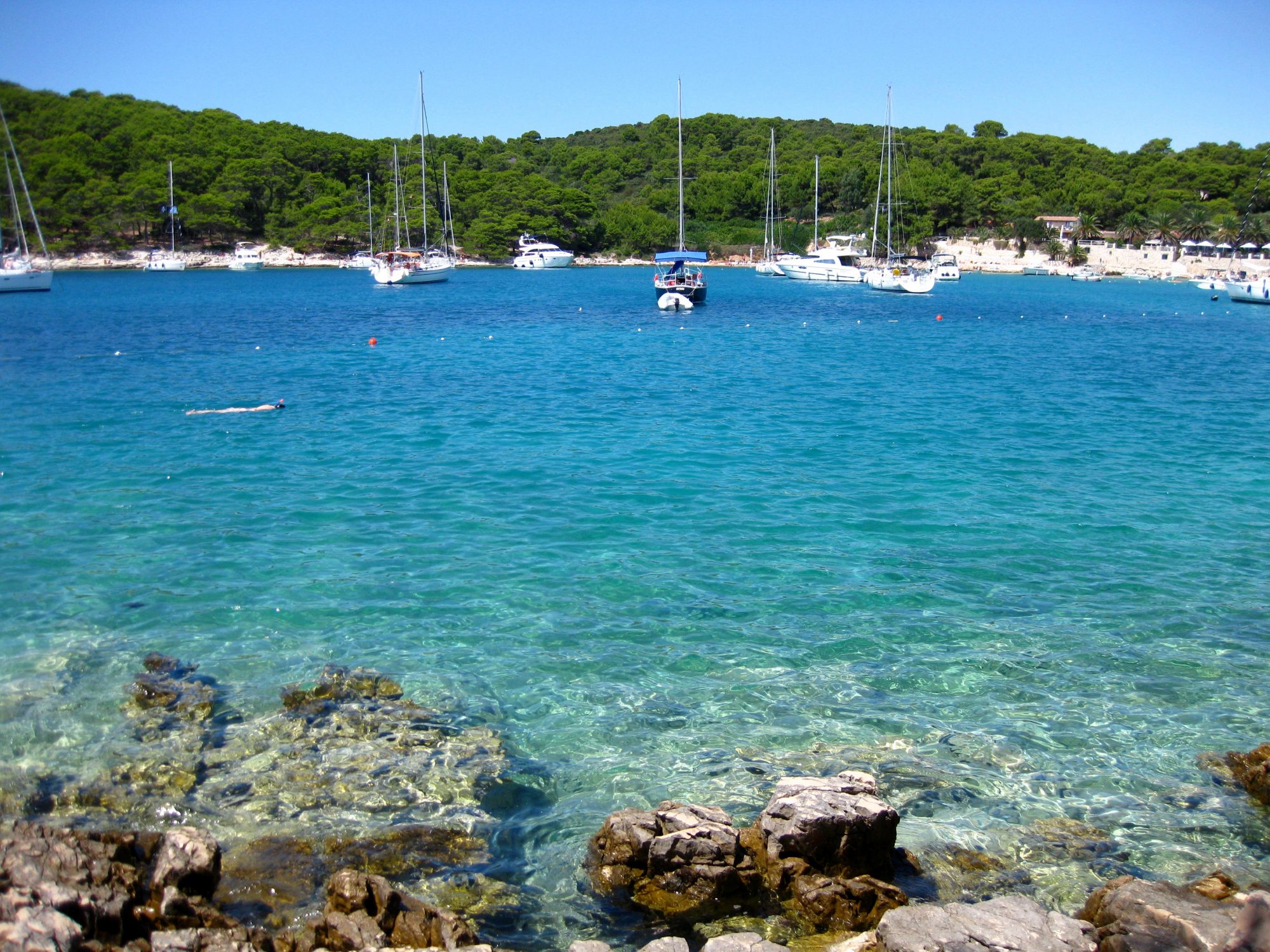 Palmižana
