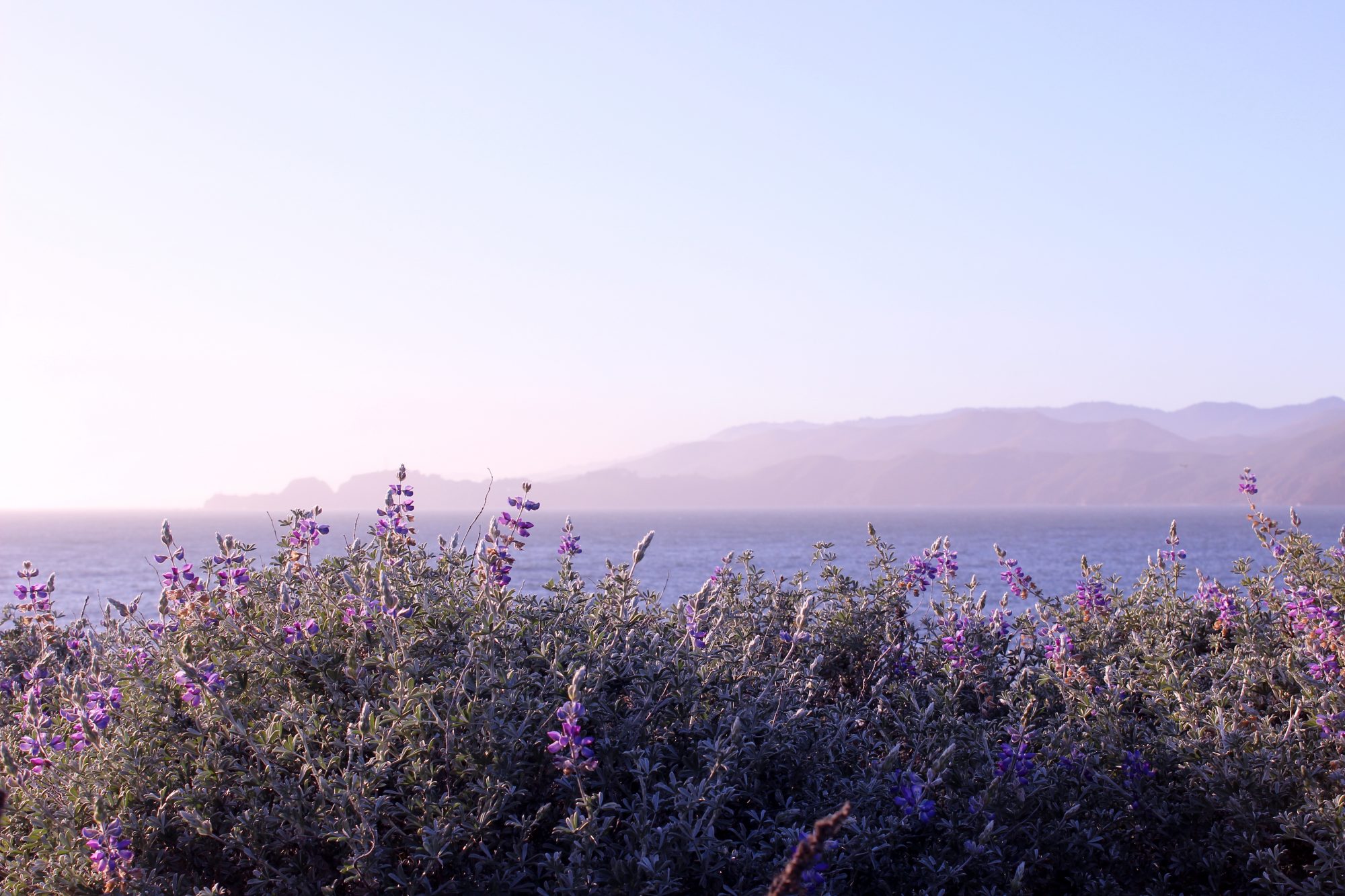 Baker Beach