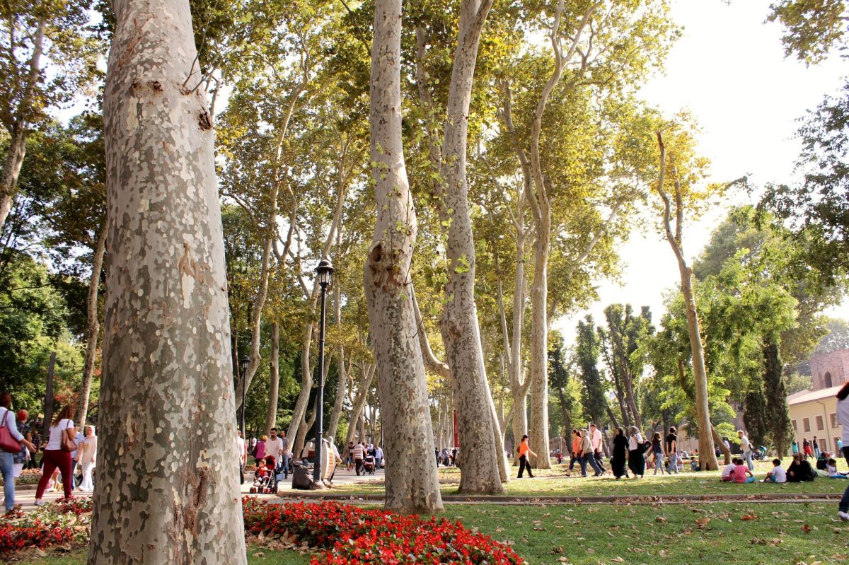 Gülhane Park