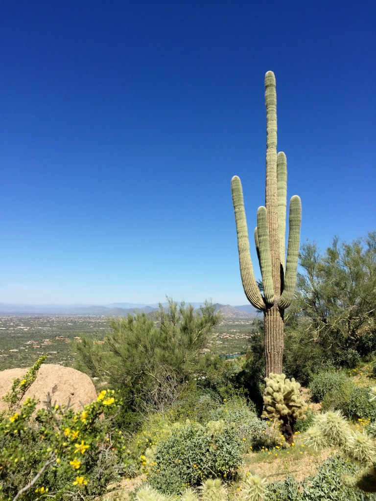 Scottsdale Arizona