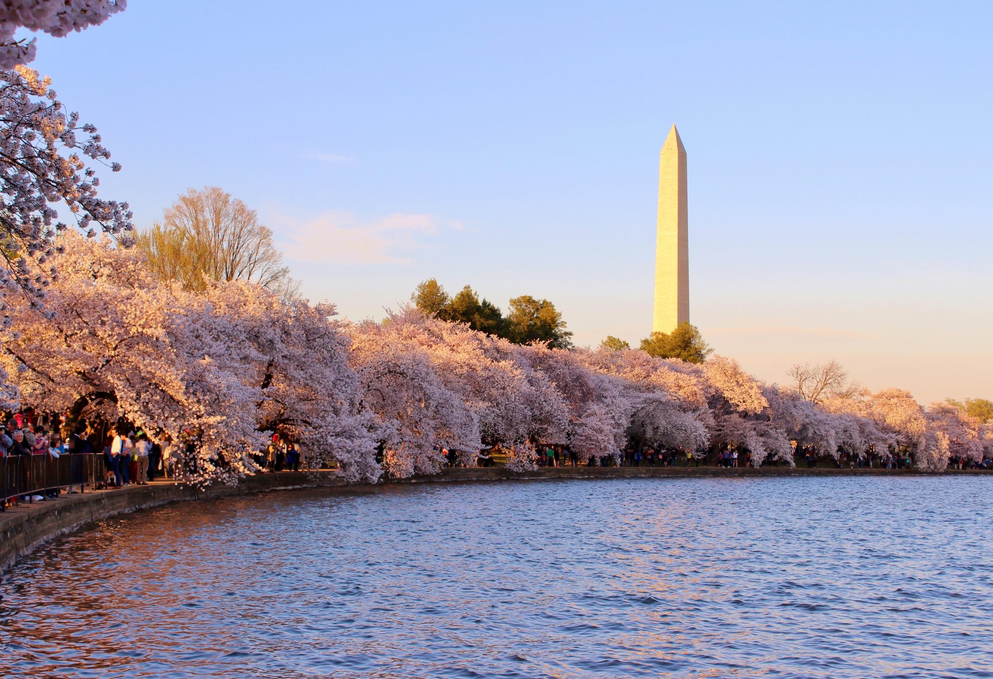 Washington Monument