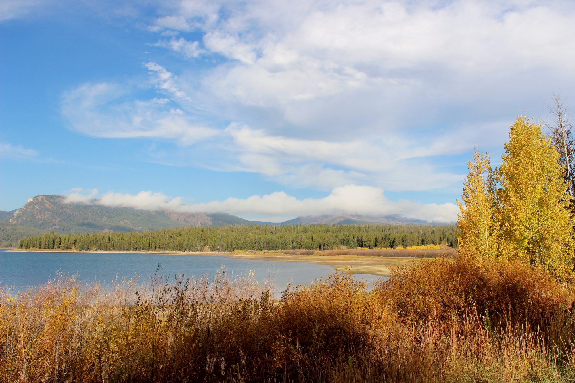 Jackson Lake