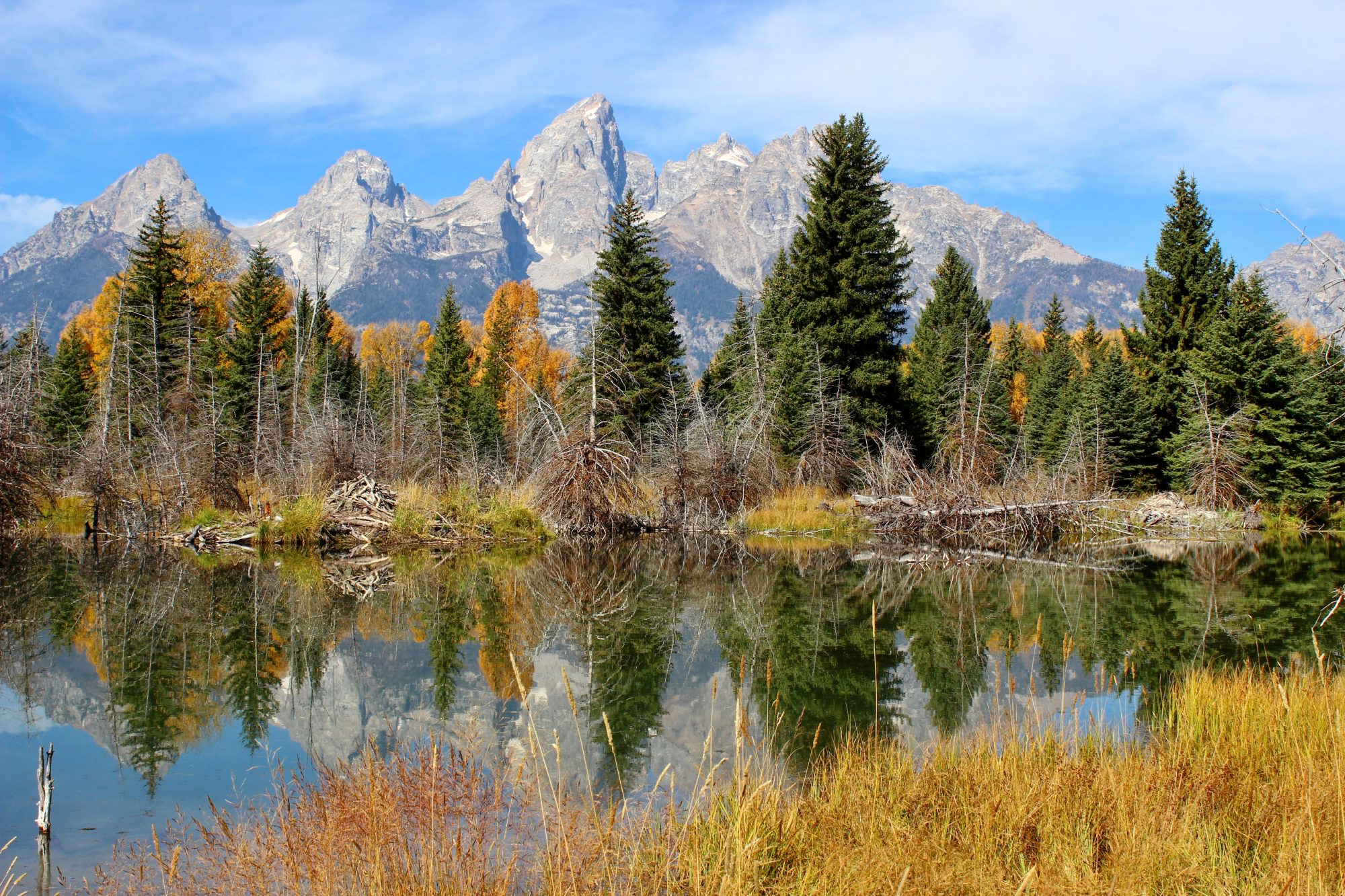 Schwabacher Landing