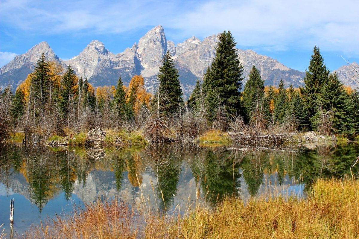 Schwabacher Landing