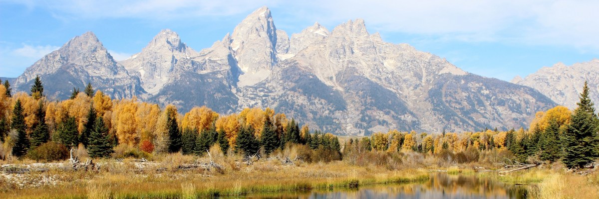 Schwabacher Landing