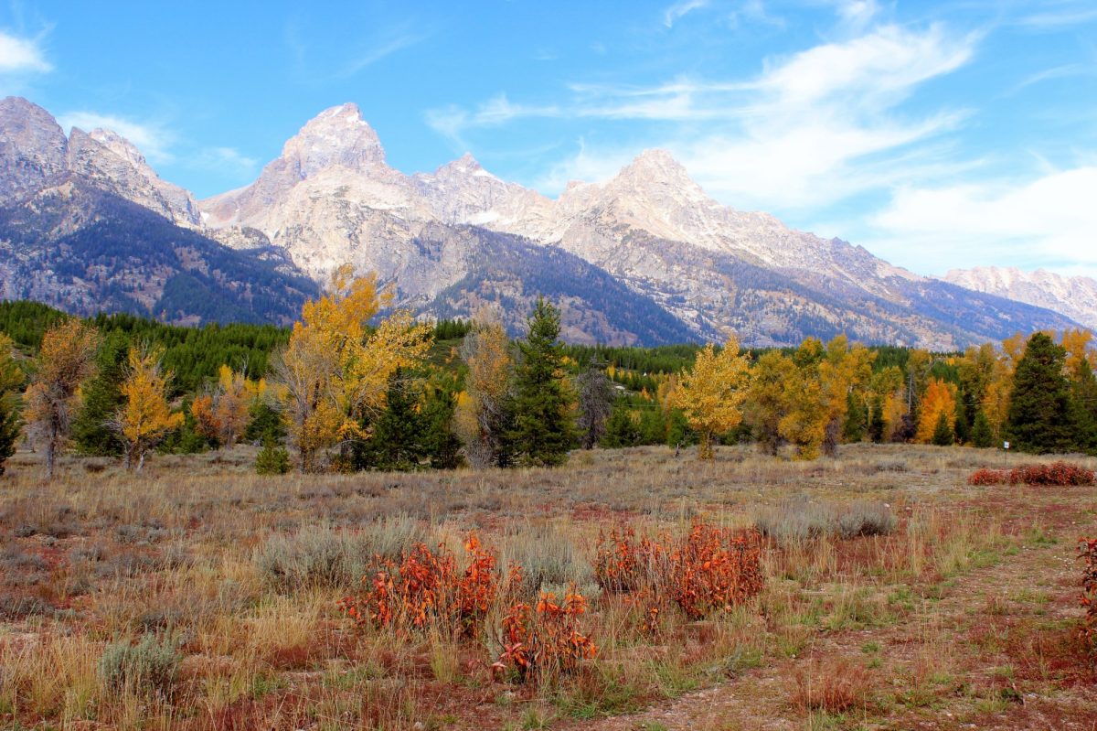 Grand Tetons