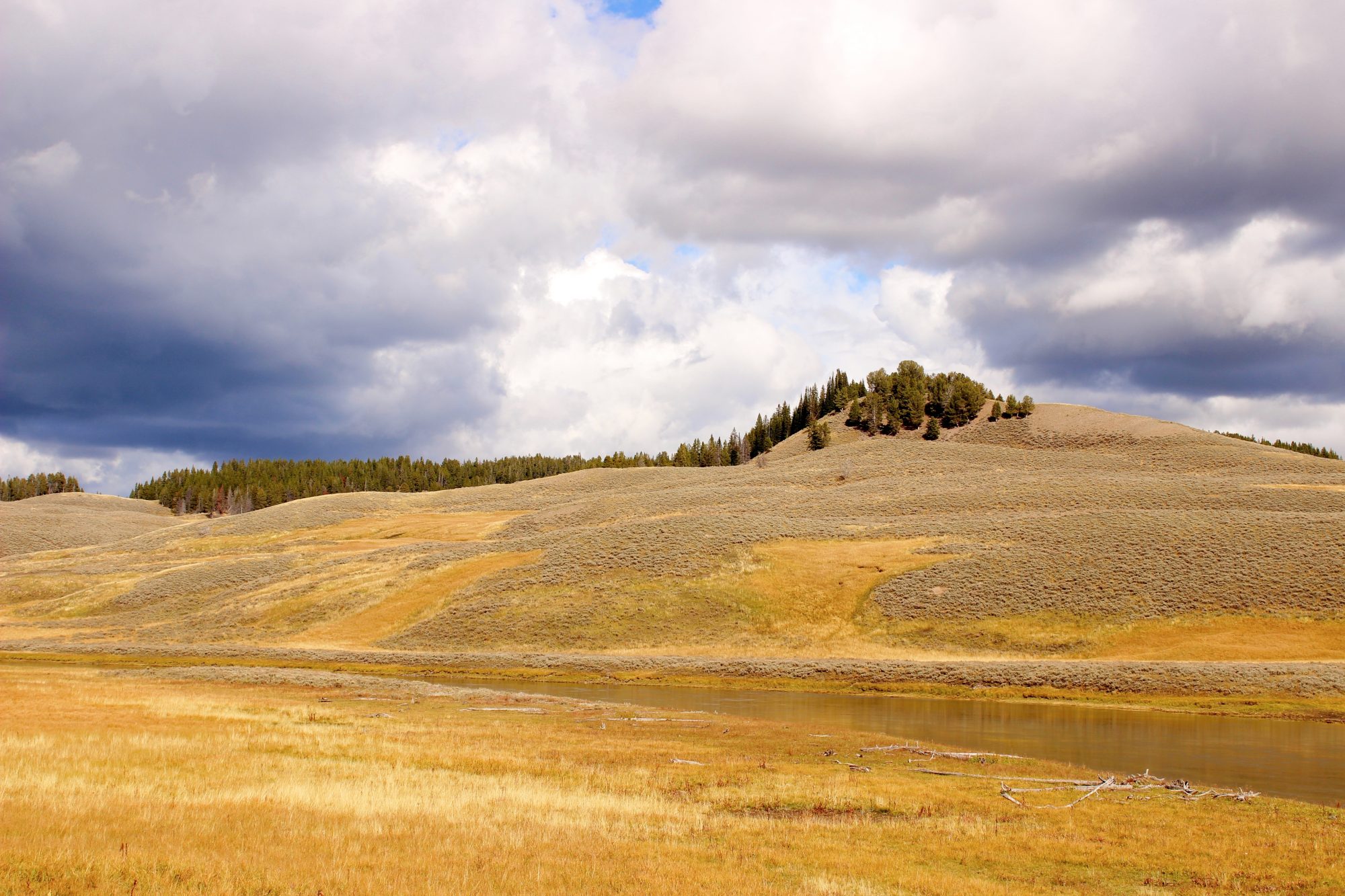 Yellowstone River