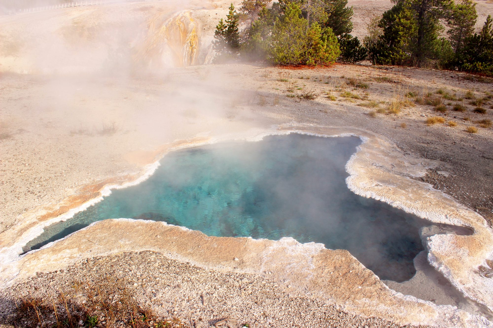 Upper Geyser Basin