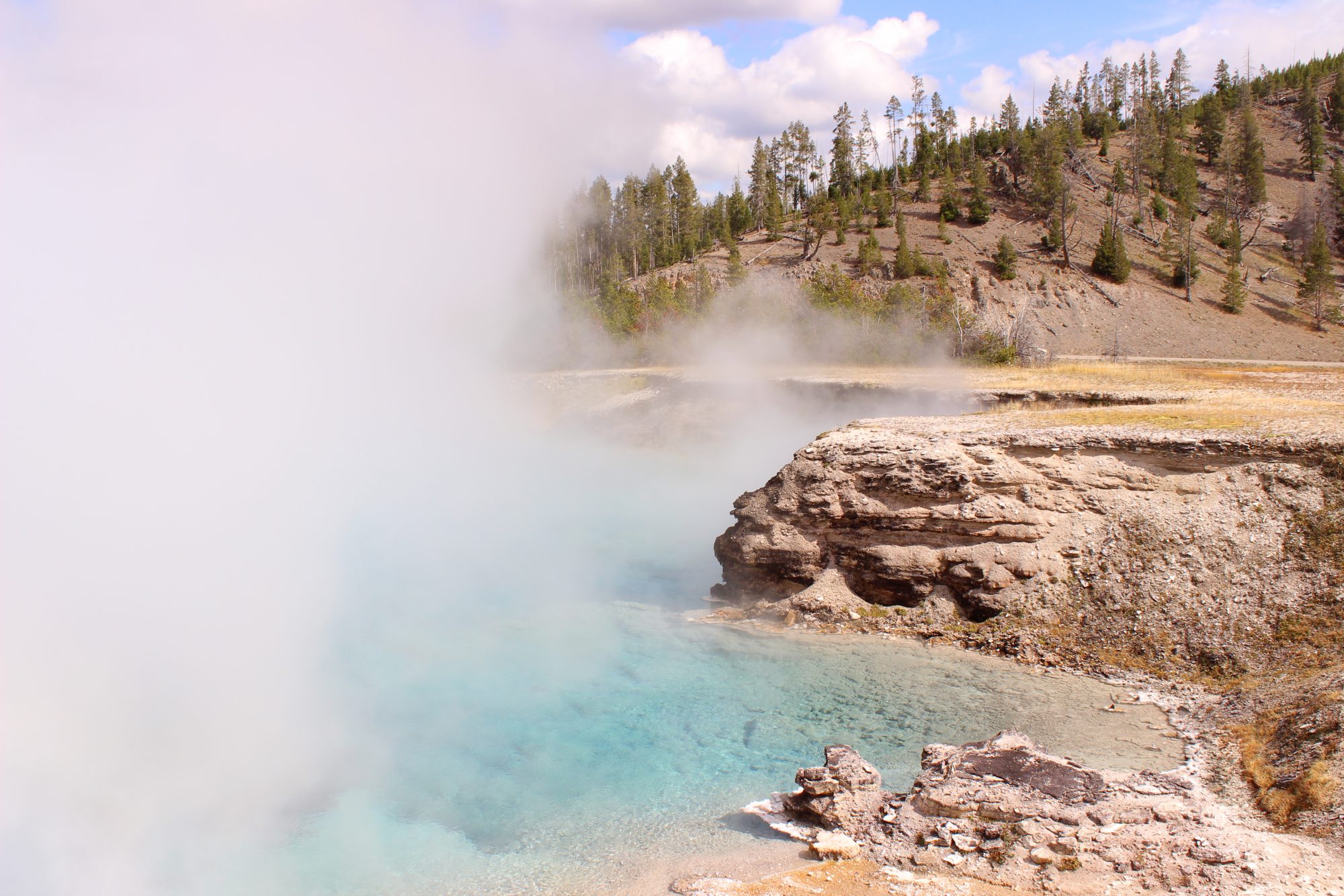 Excelsior Geyser