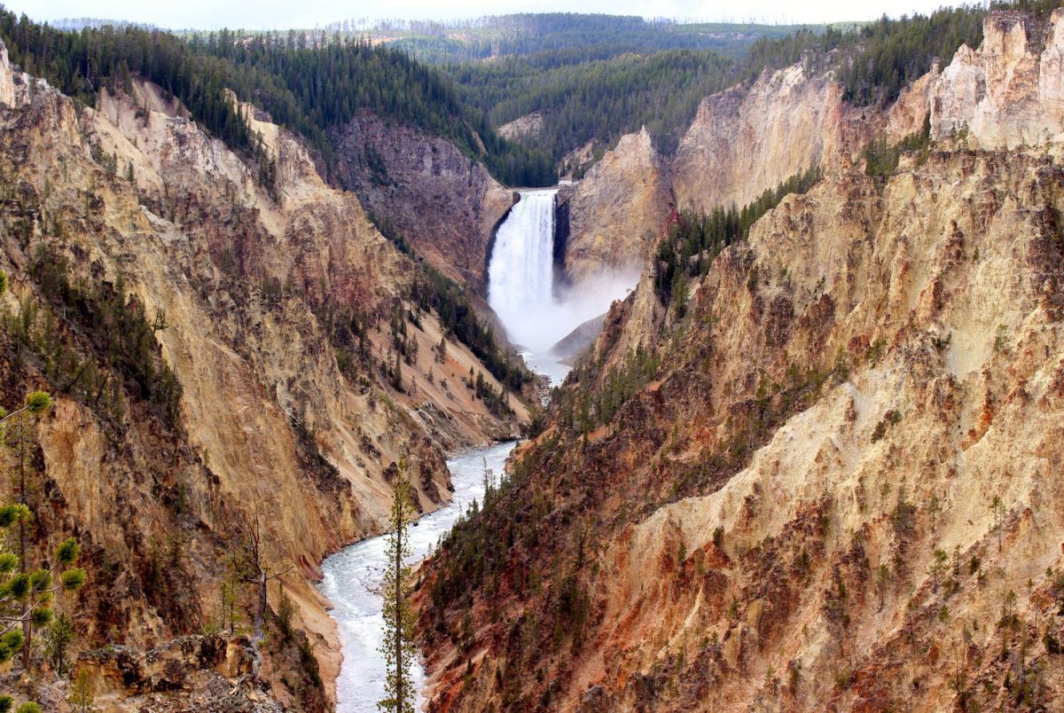 Grand Canyon of the Yellowstone