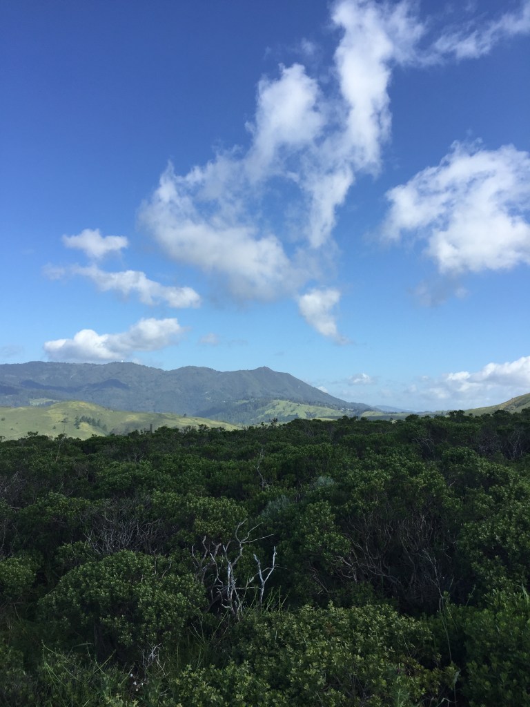 Marin County California