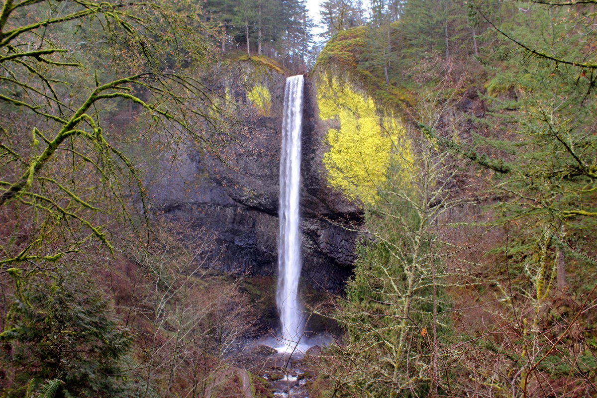 latourell falls oregon