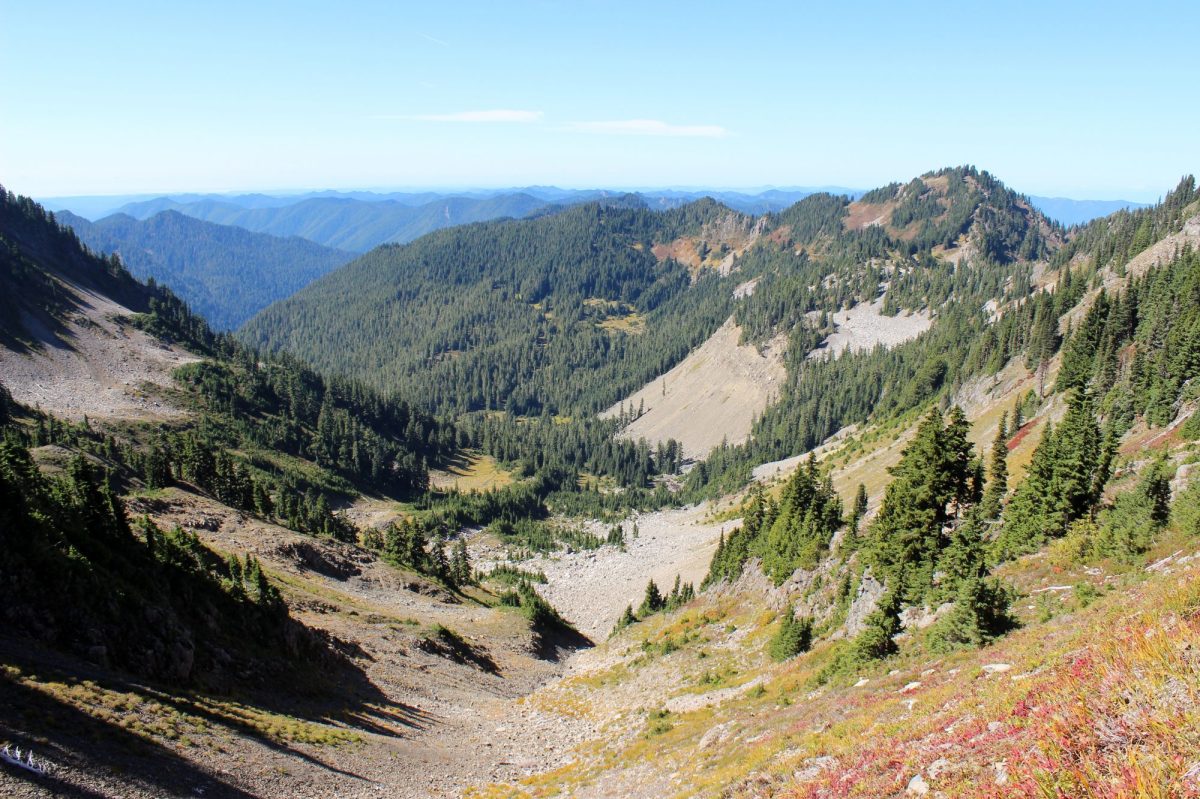 Bogachiel River Olympic National Park