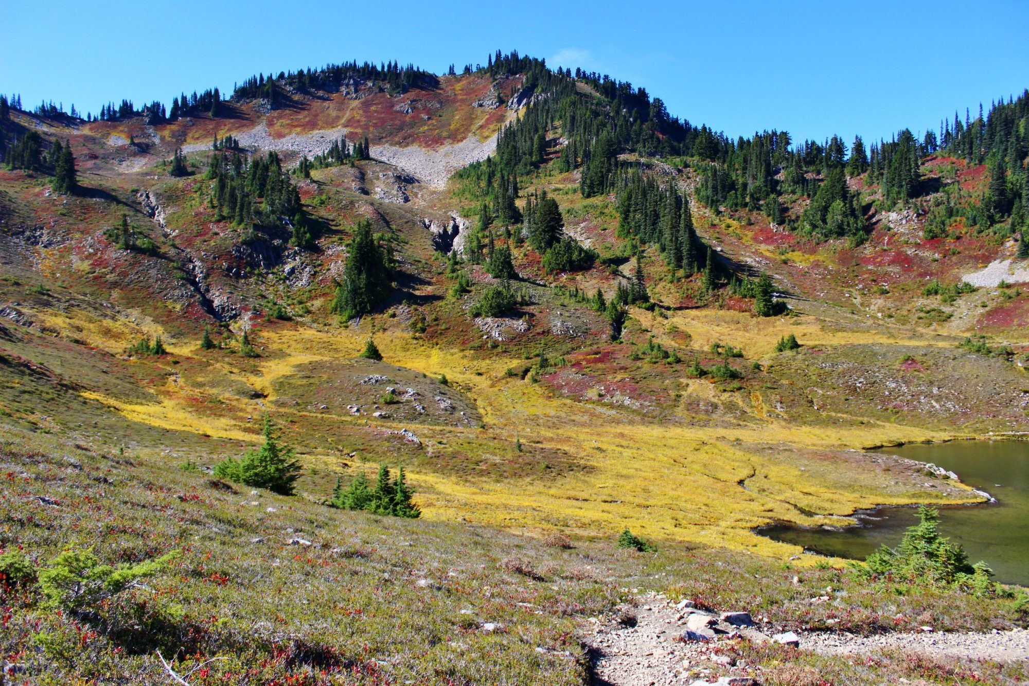 Heart Lake Washington