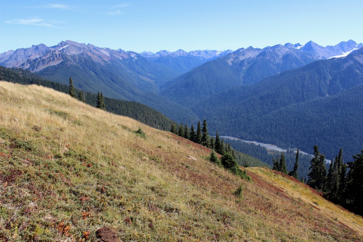 High Divide Olympic National Park