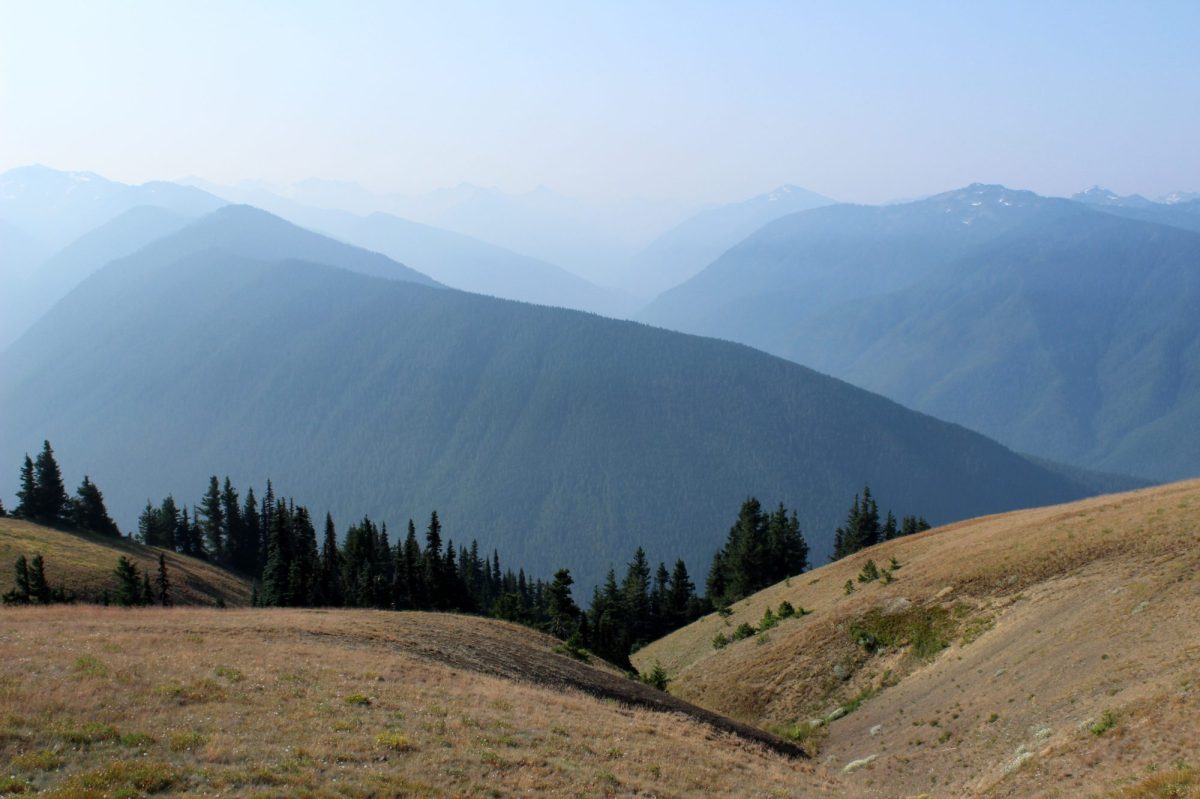 Olympic National Park