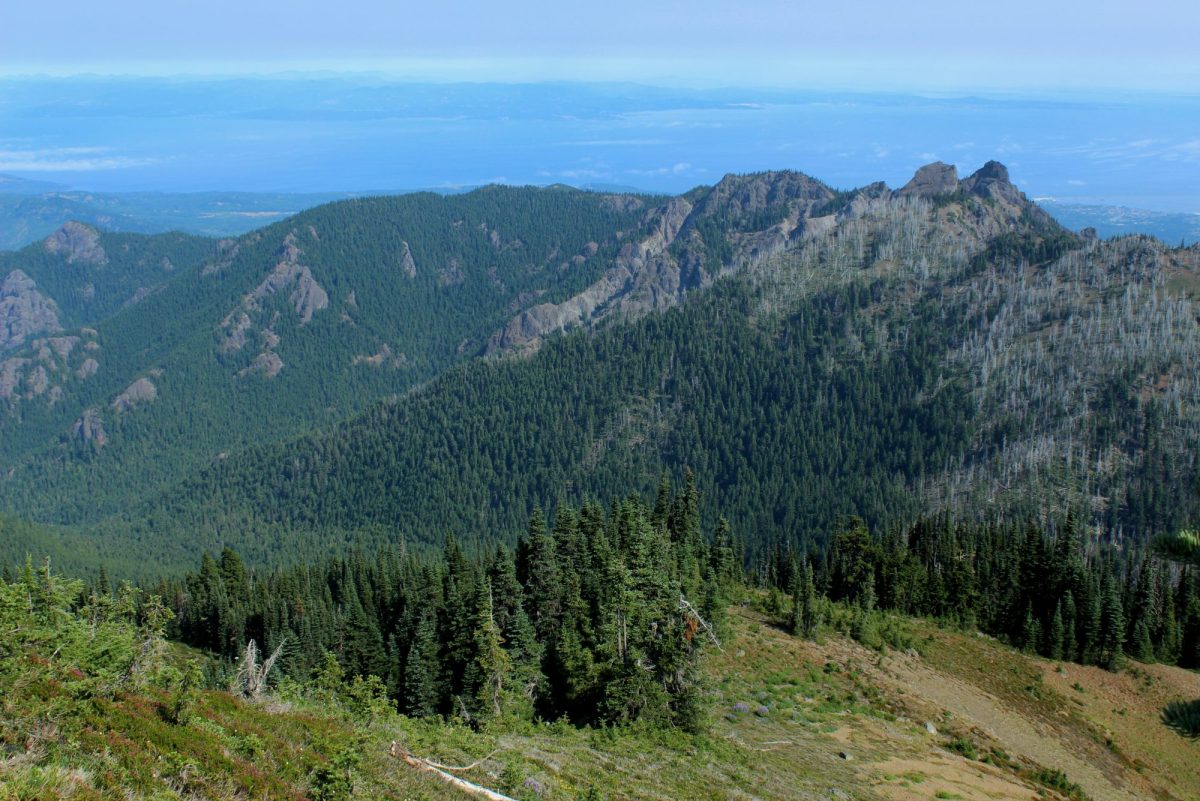 Olympic National Park