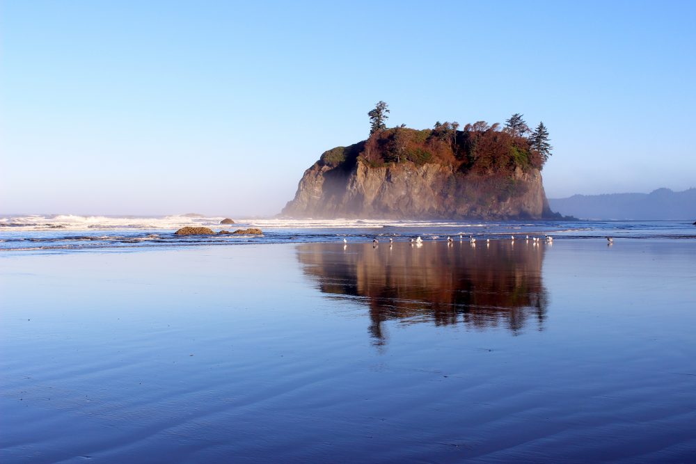 Ruby Beach Washington