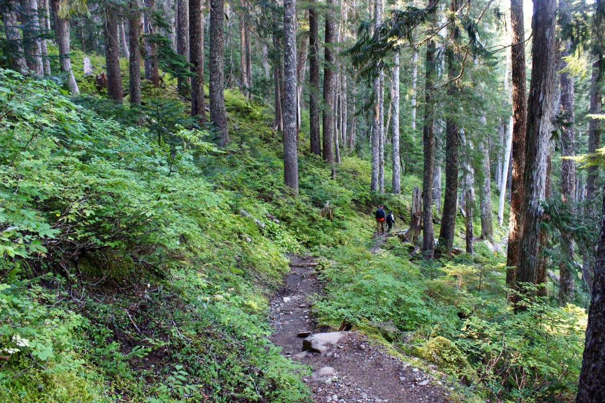 Olympic National Park