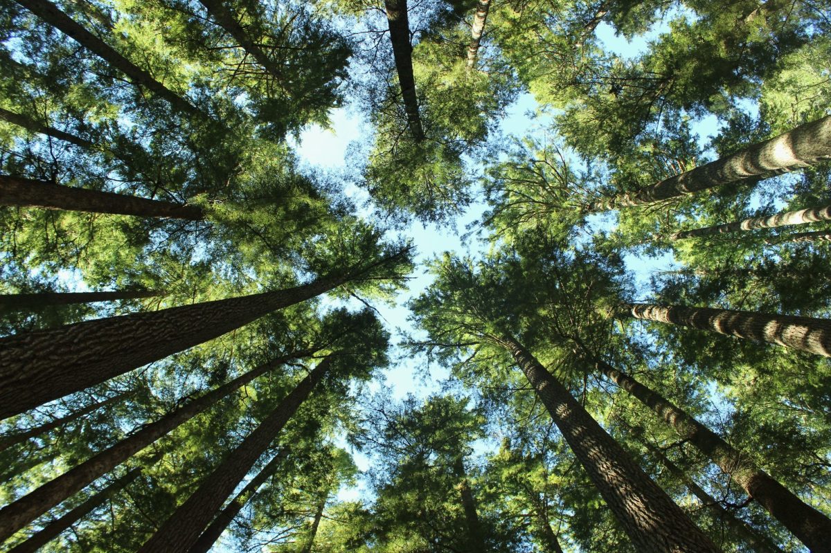 Olympic National Park
