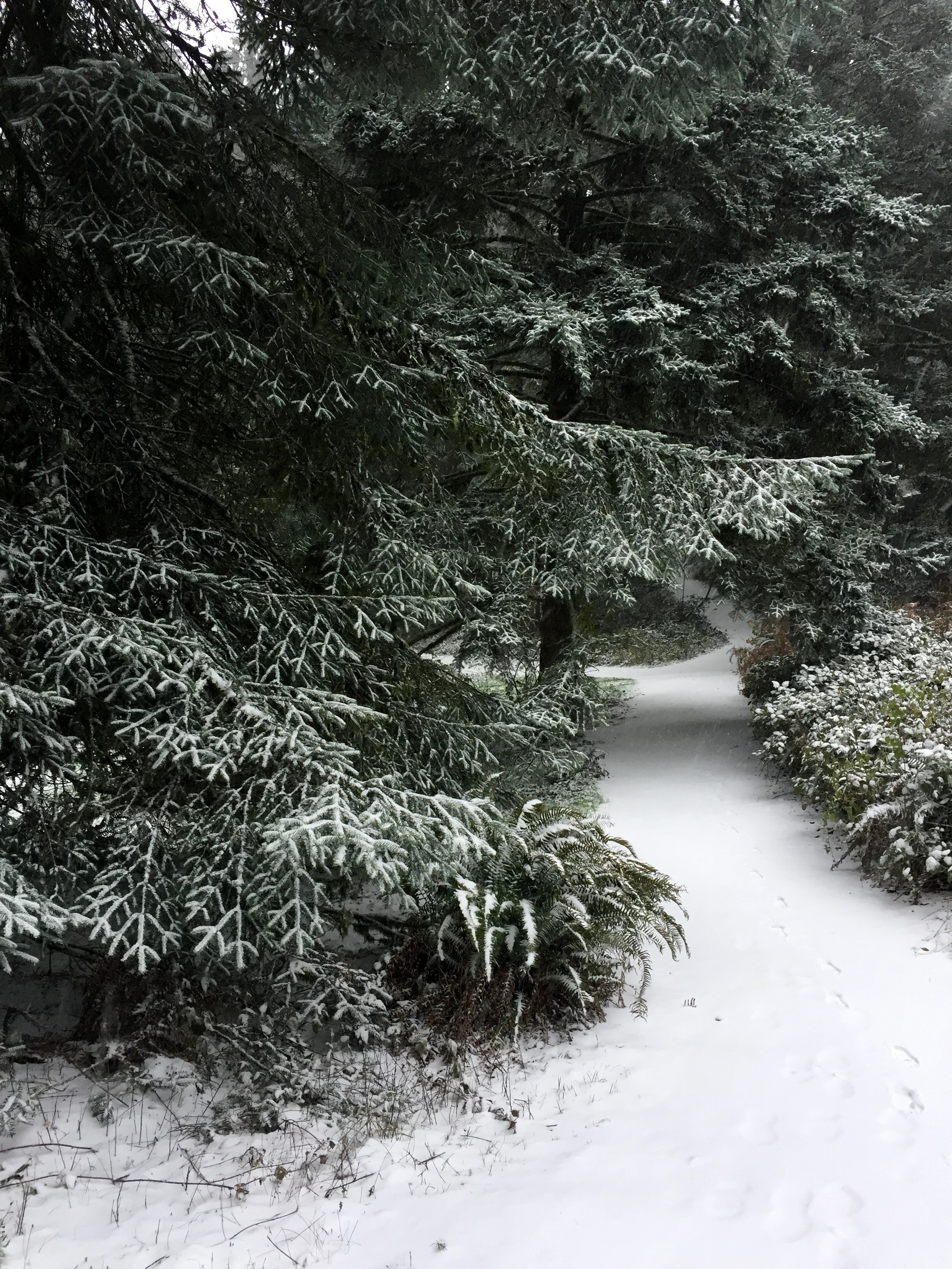Portland Oregon