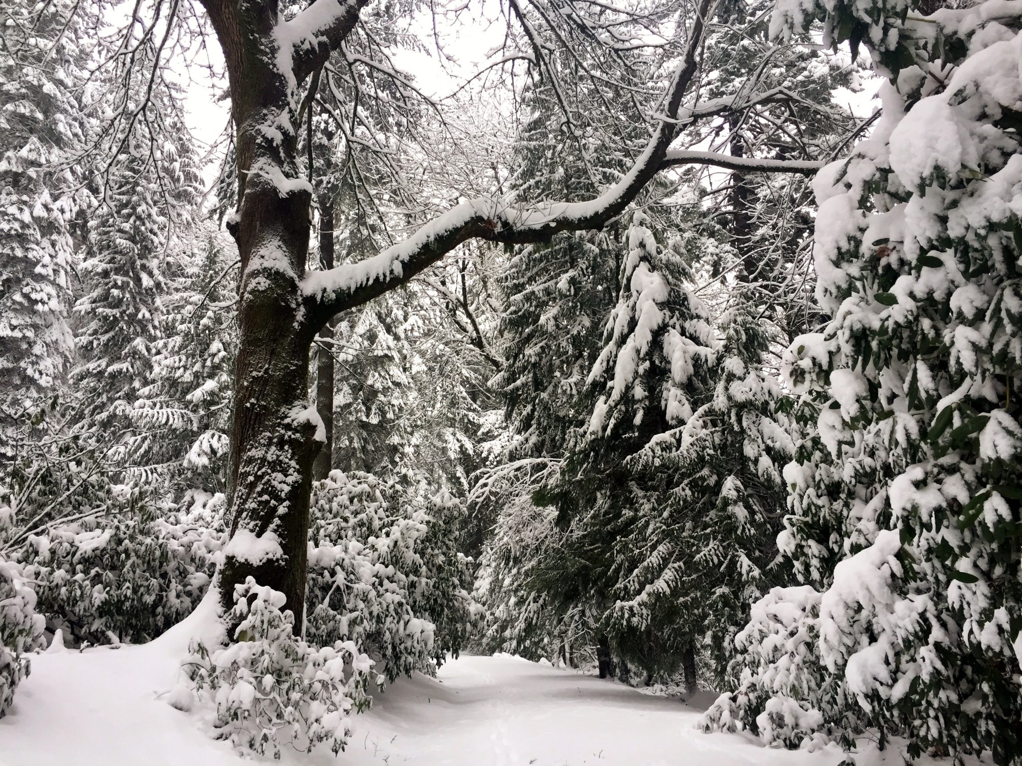 Portland Oregon