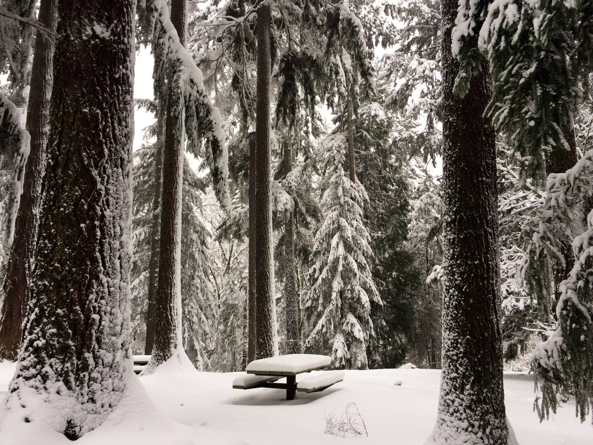 Portland Oregon