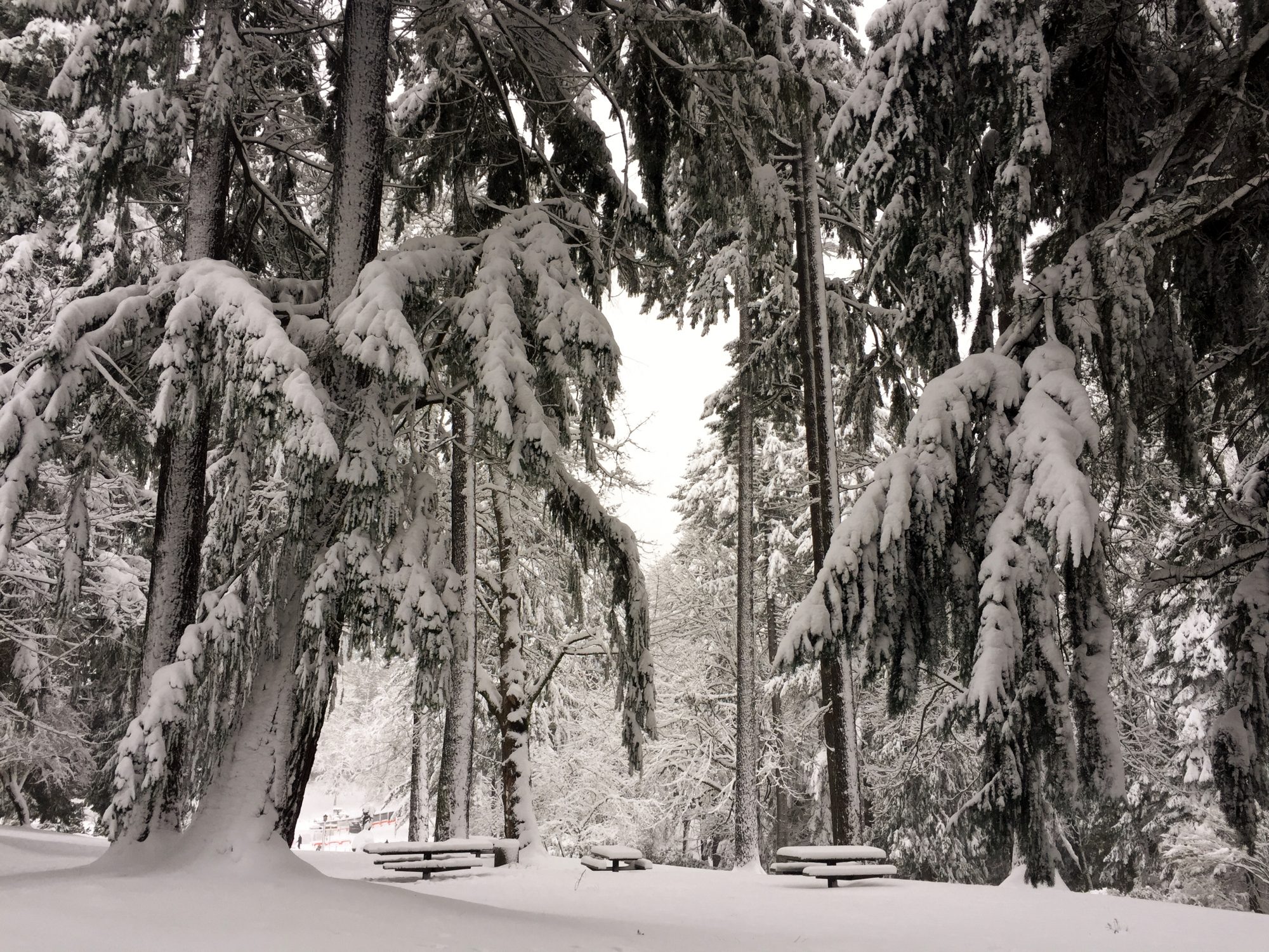 Portland Oregon