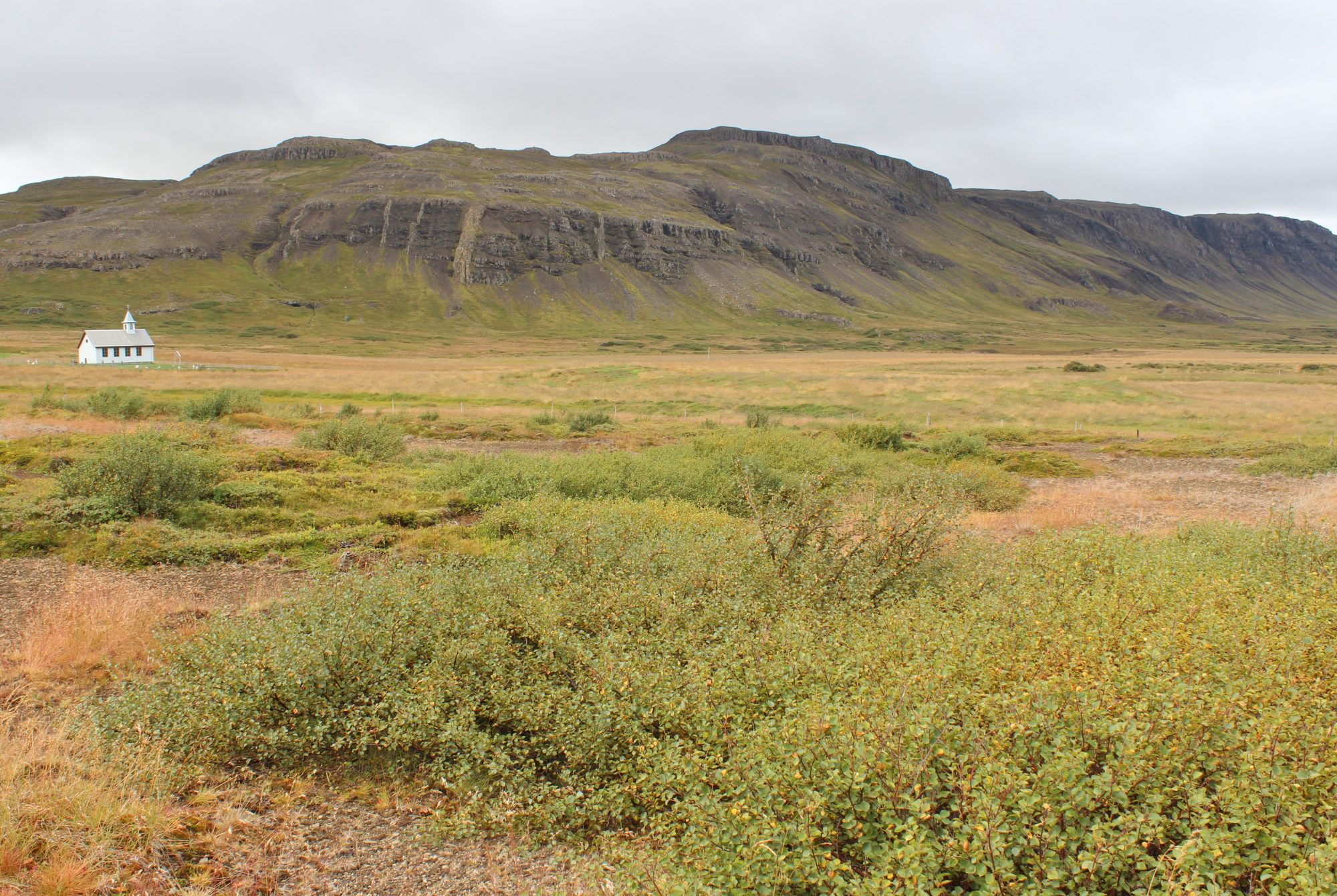 Iceland
