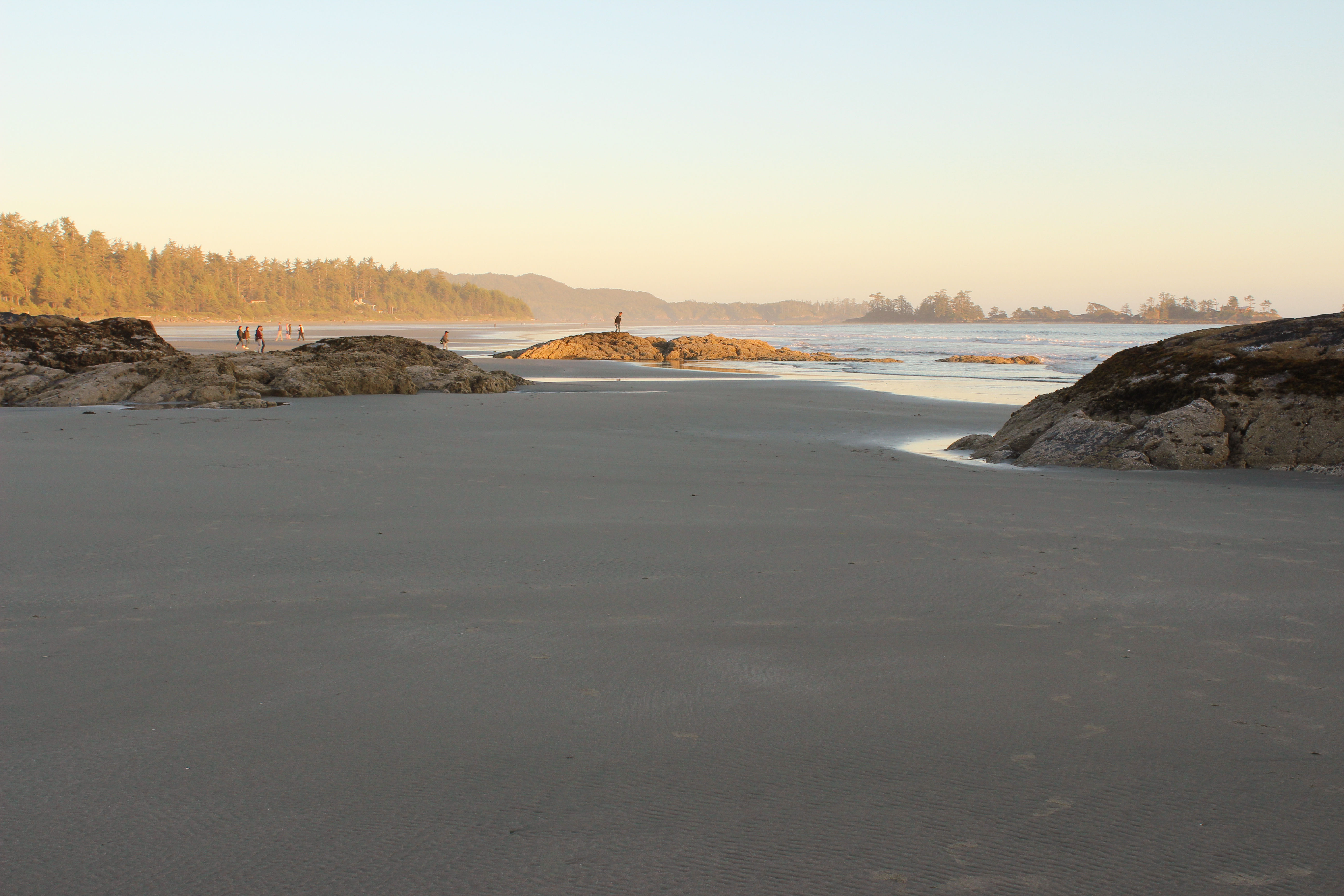 Tofino