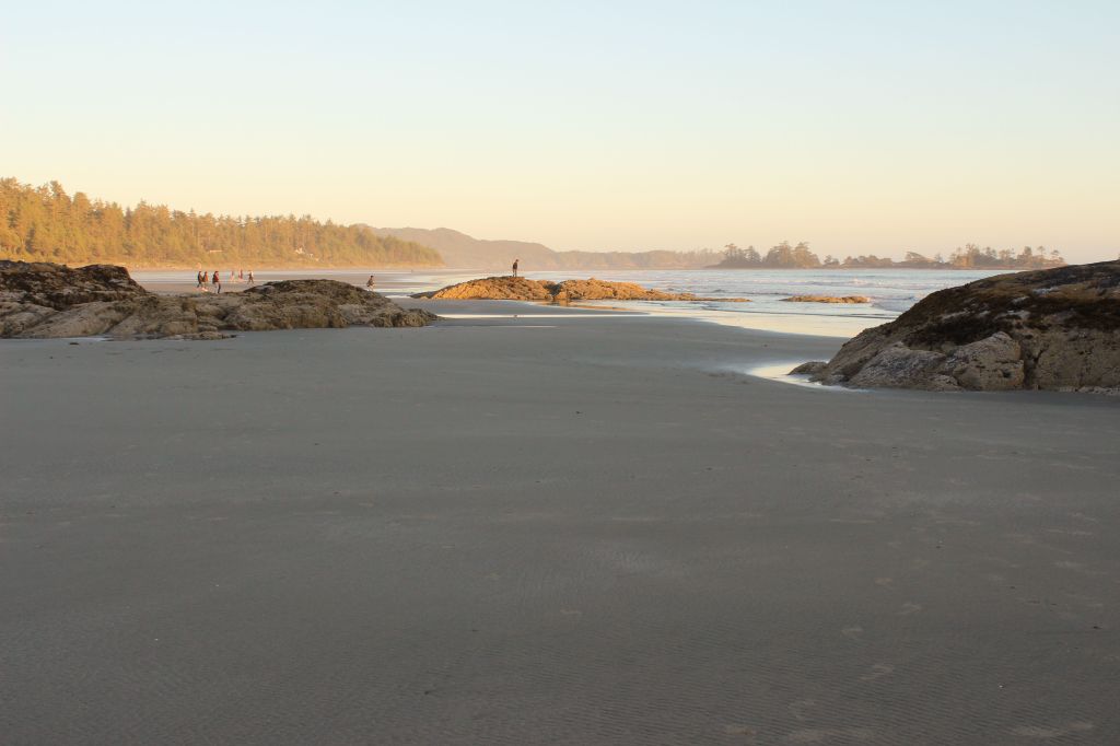 Tofino